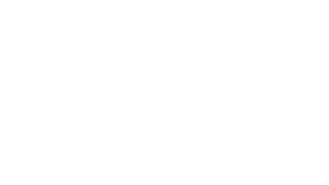 Community Partner